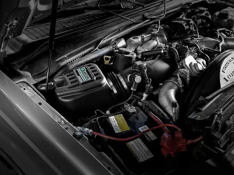 Afe Quantum Pro 5R Cold Air Intake System 15-18 Ford F-150 V8-5.0L 2