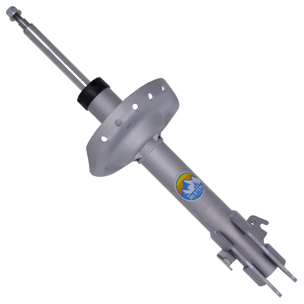 B8 Terrasport - Suspension Strut Assembly 1