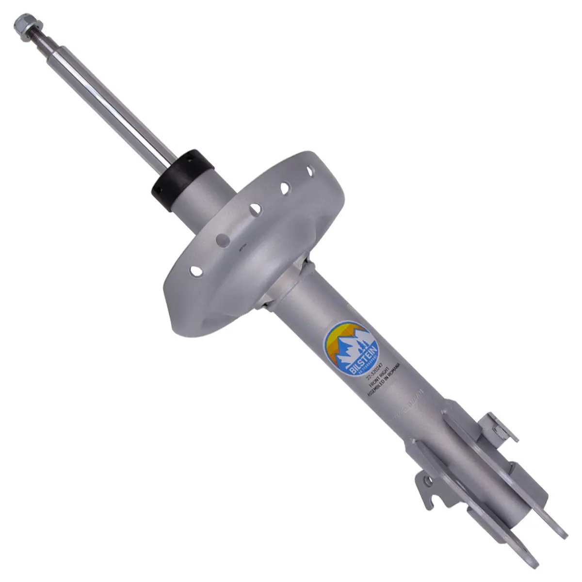 B8 Terrasport - Suspension Strut Assembly 1
