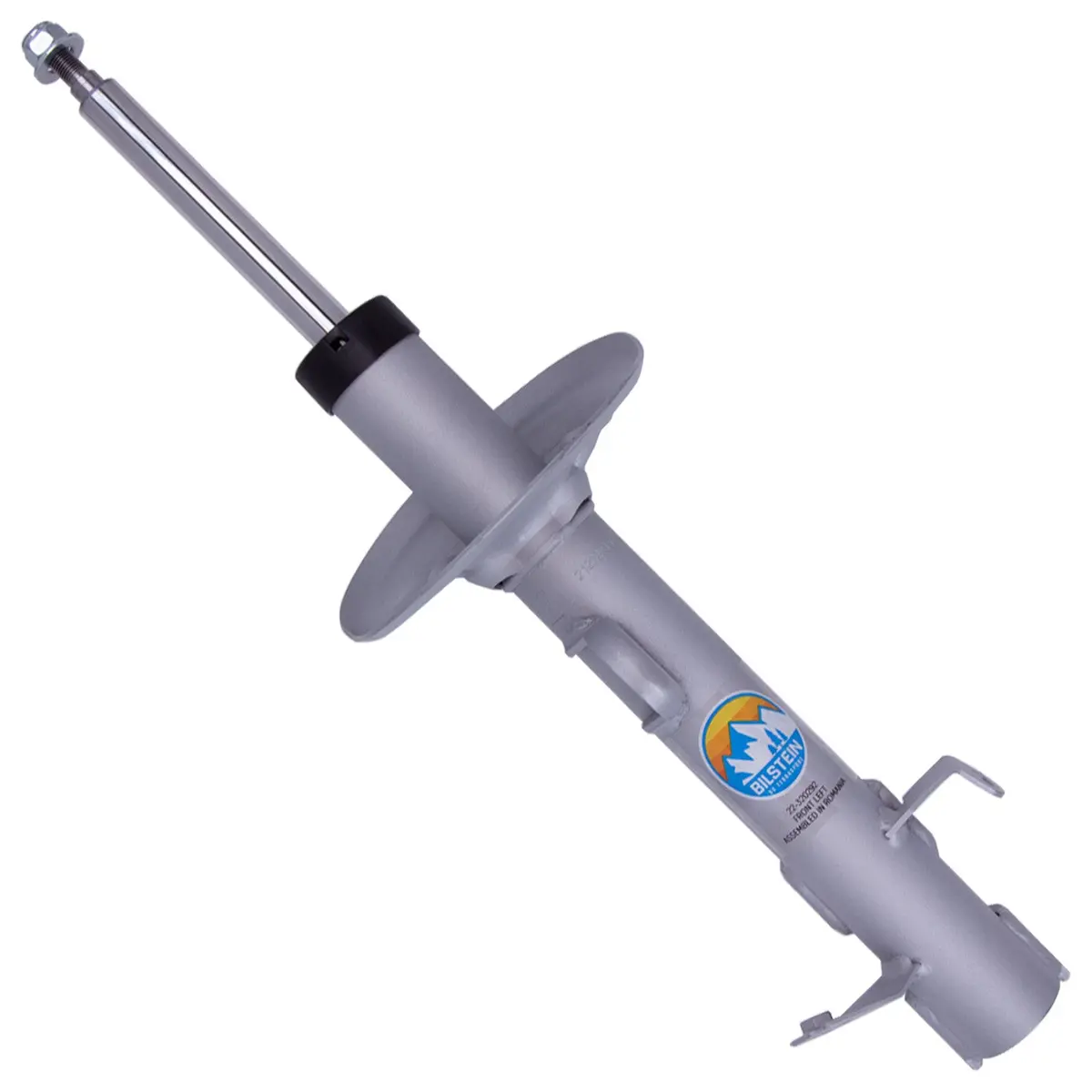 B8 Terrasport - Suspension Strut Assembly 1