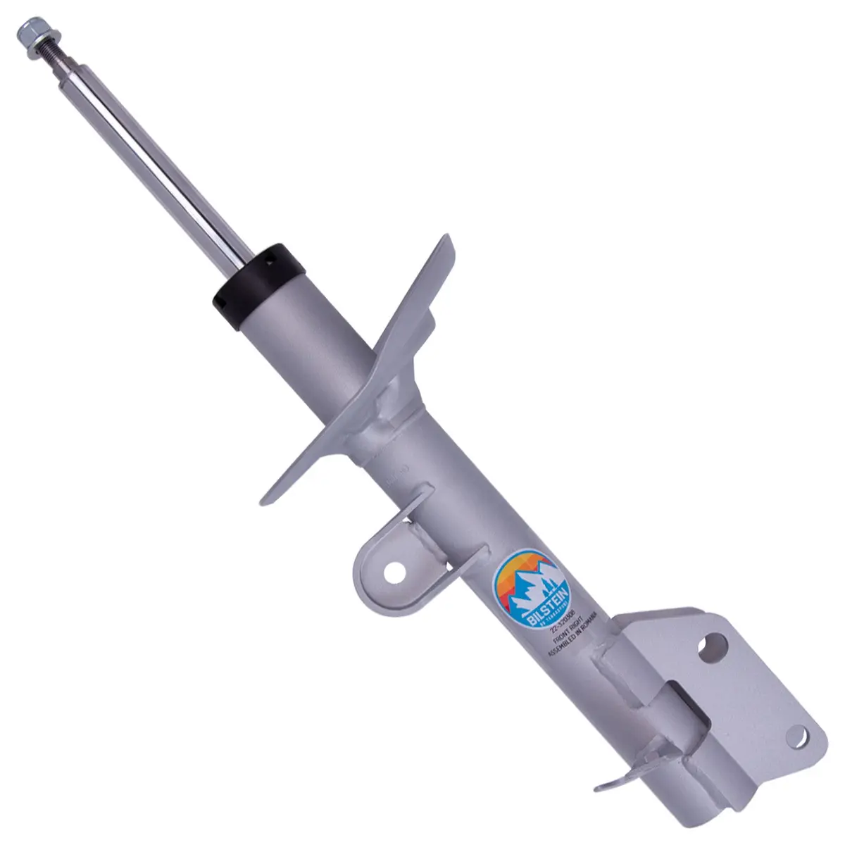 B8 Terrasport - Suspension Strut Assembly 1