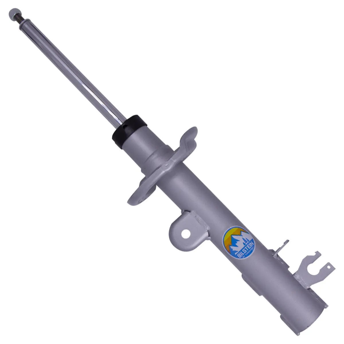 B8 Terrasport - Suspension Strut Assembly 1