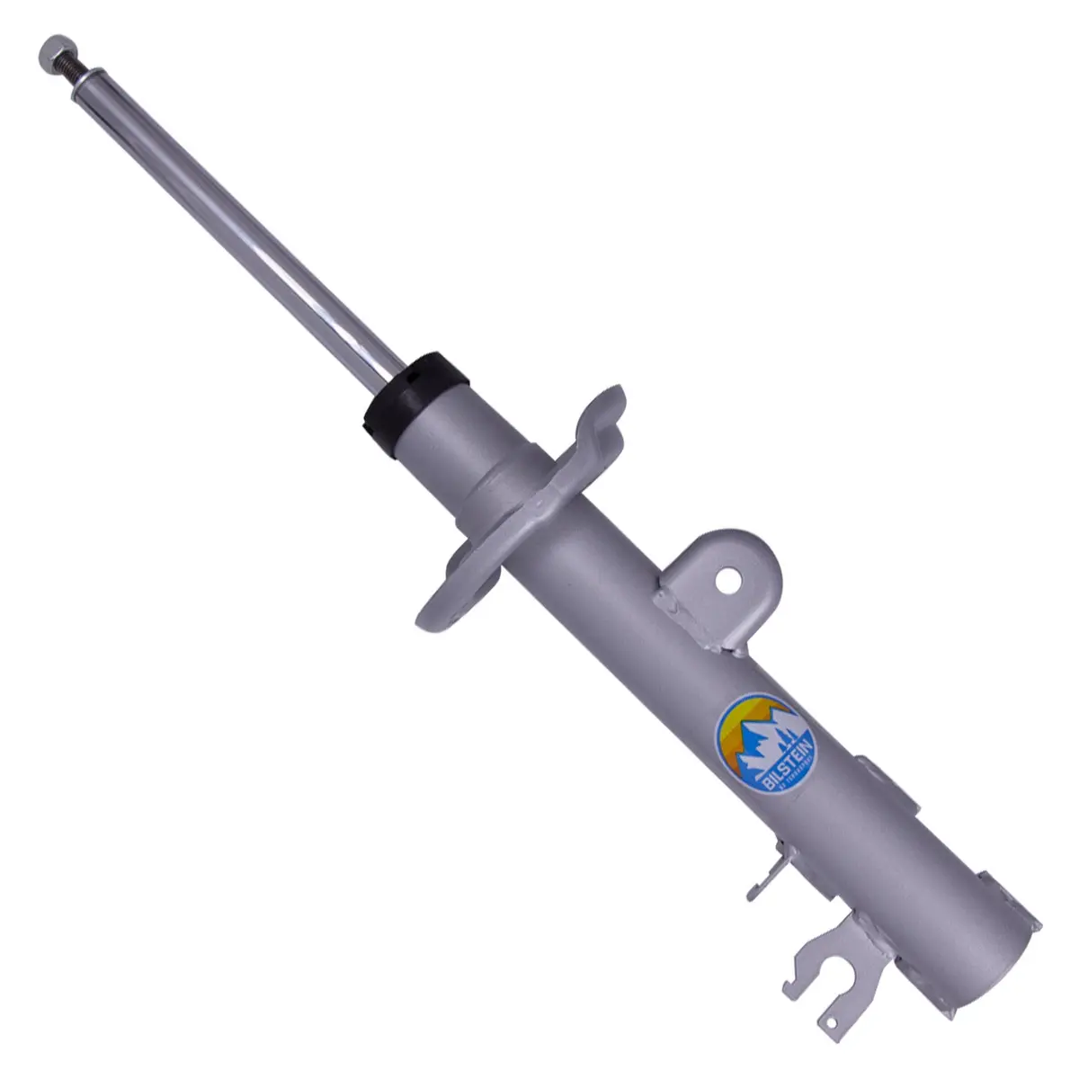 B8 Terrasport - Suspension Strut Assembly 1