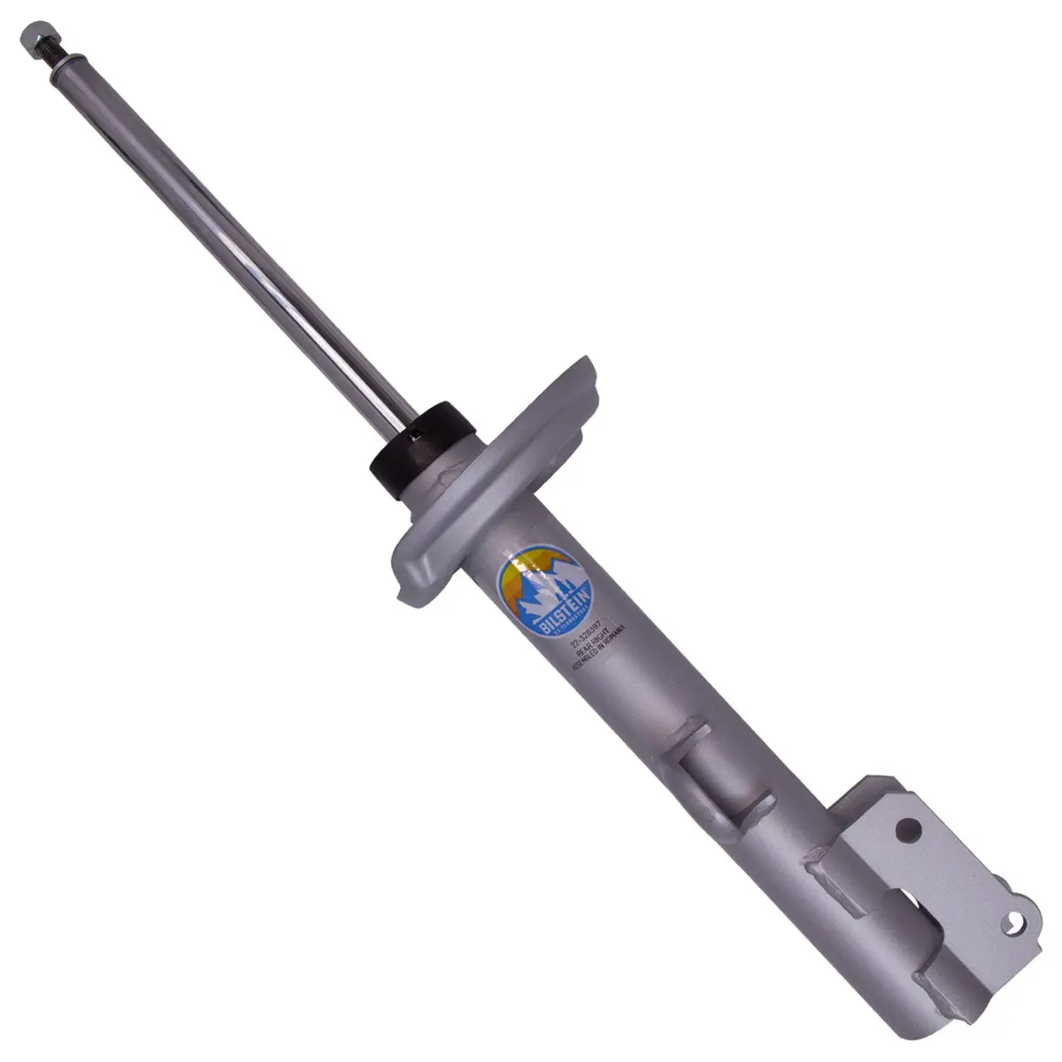 B8 Terrasport - Suspension Strut Assembly 1