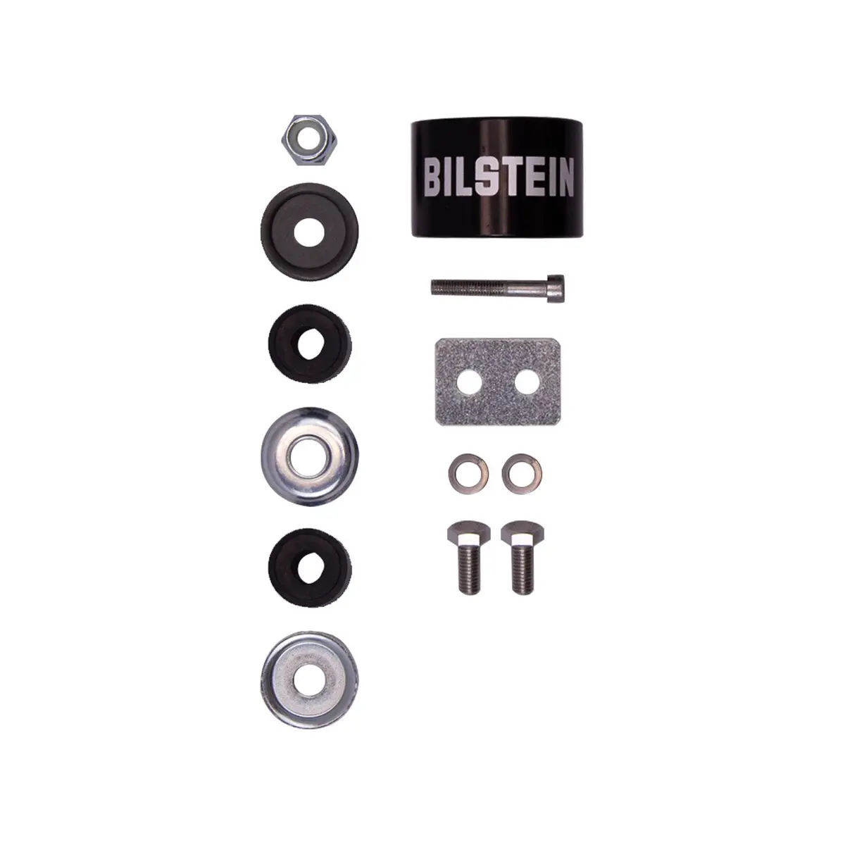B8 5160 - Suspension Shock Absorber 2