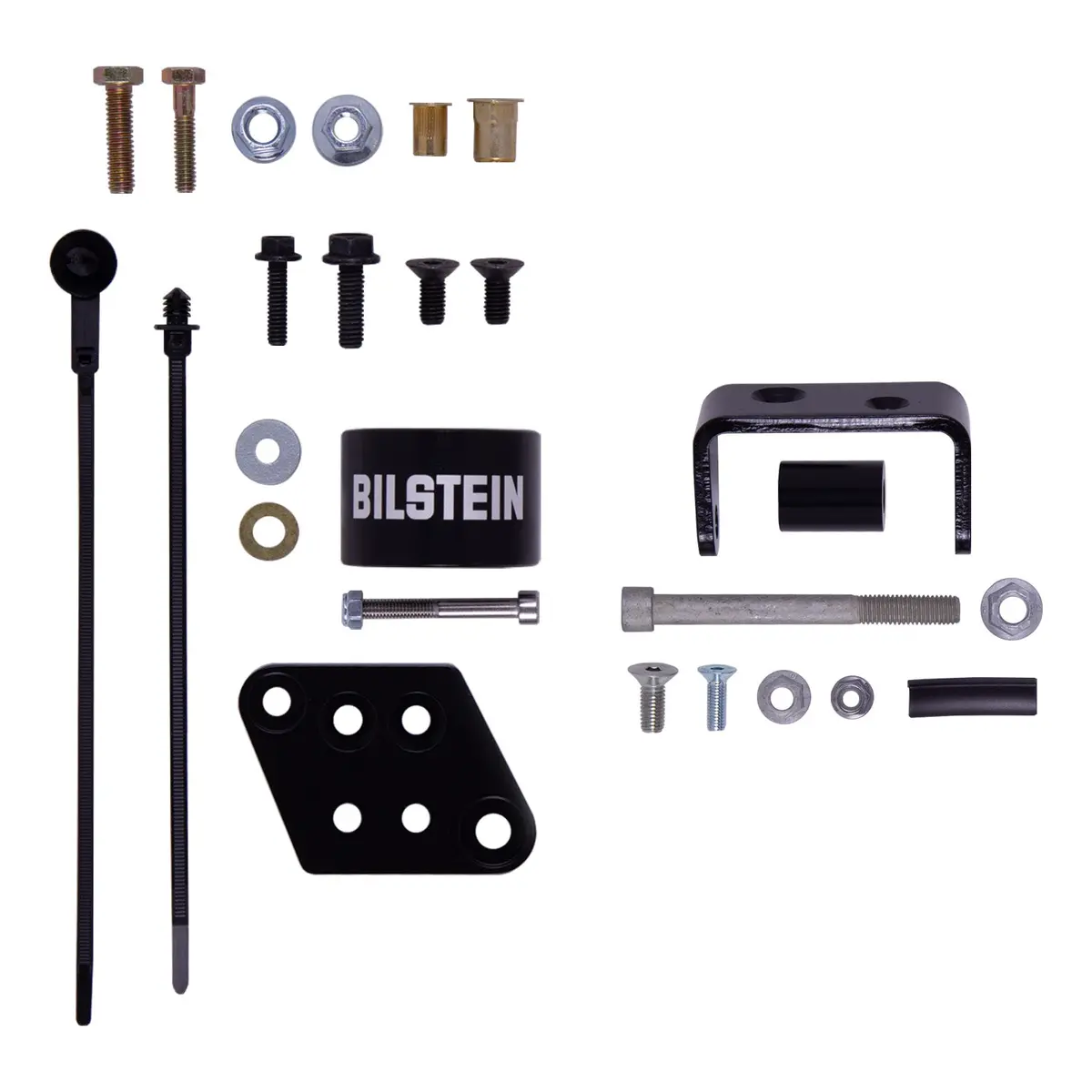 B8 5160 - Suspension Shock Absorber 2