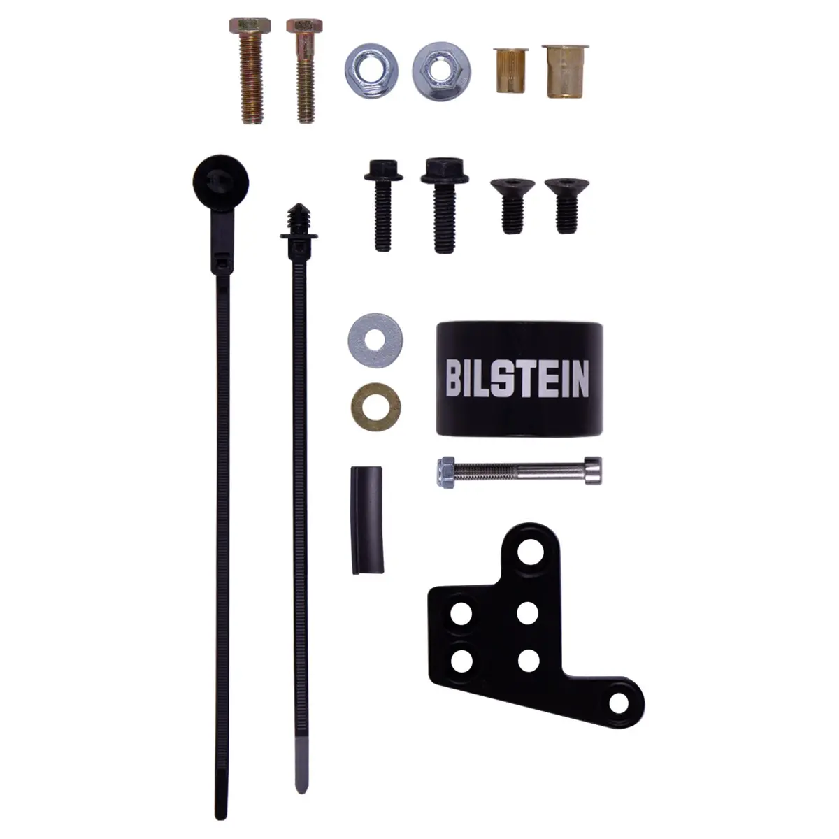 B8 5160 - Suspension Shock Absorber 2