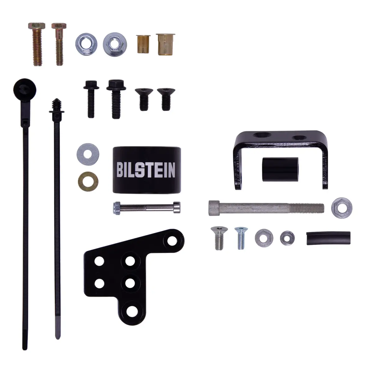 B8 5160 - Suspension Shock Absorber 2