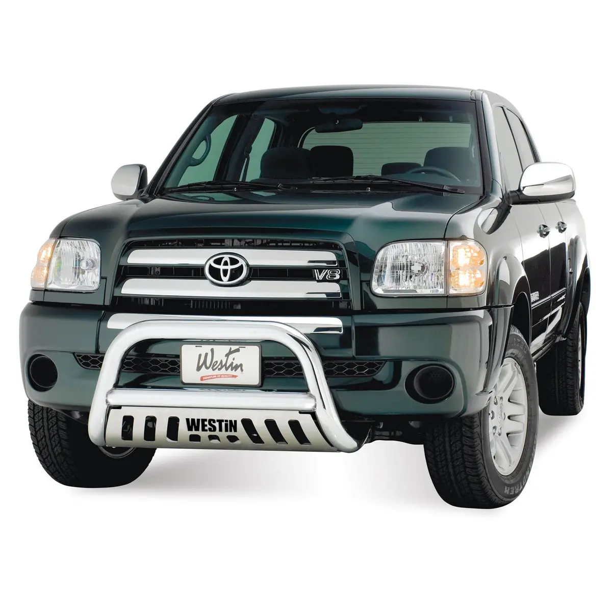31-5250  -  E-Series Bull Bar; 3 In. Dia.; Polished Stainless Steel; 1