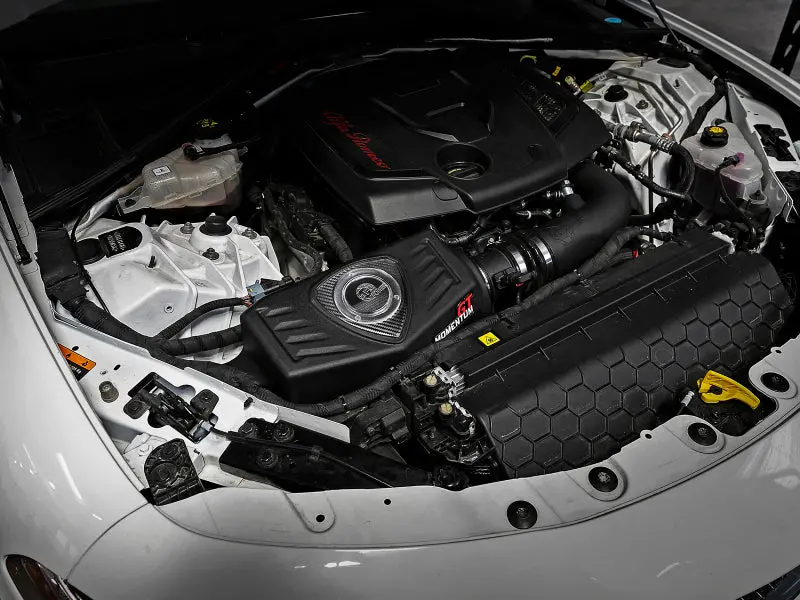 Afe Power Momentum Gt Pro Dry S Intake System 17-21 Alfa Romeo Giulia L4-2.0L (T) 2