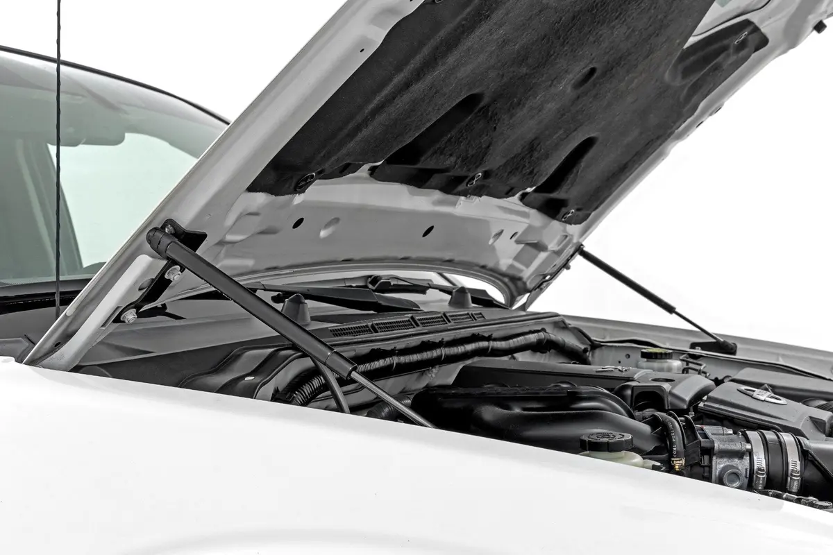 82013  -  Hood Struts - Hydraulic - Nissan Frontier 2Wd/4Wd (2005-2021) 1