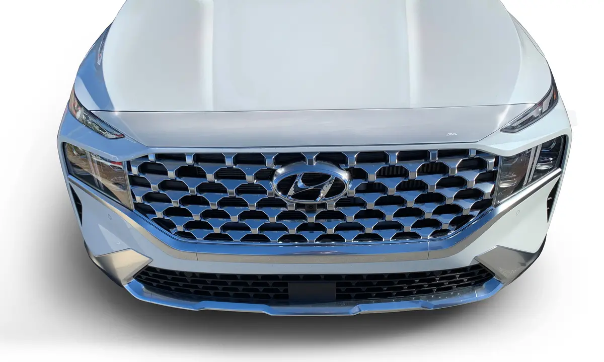 622197  -  Aeroskin Hood Protector - Chrome 1