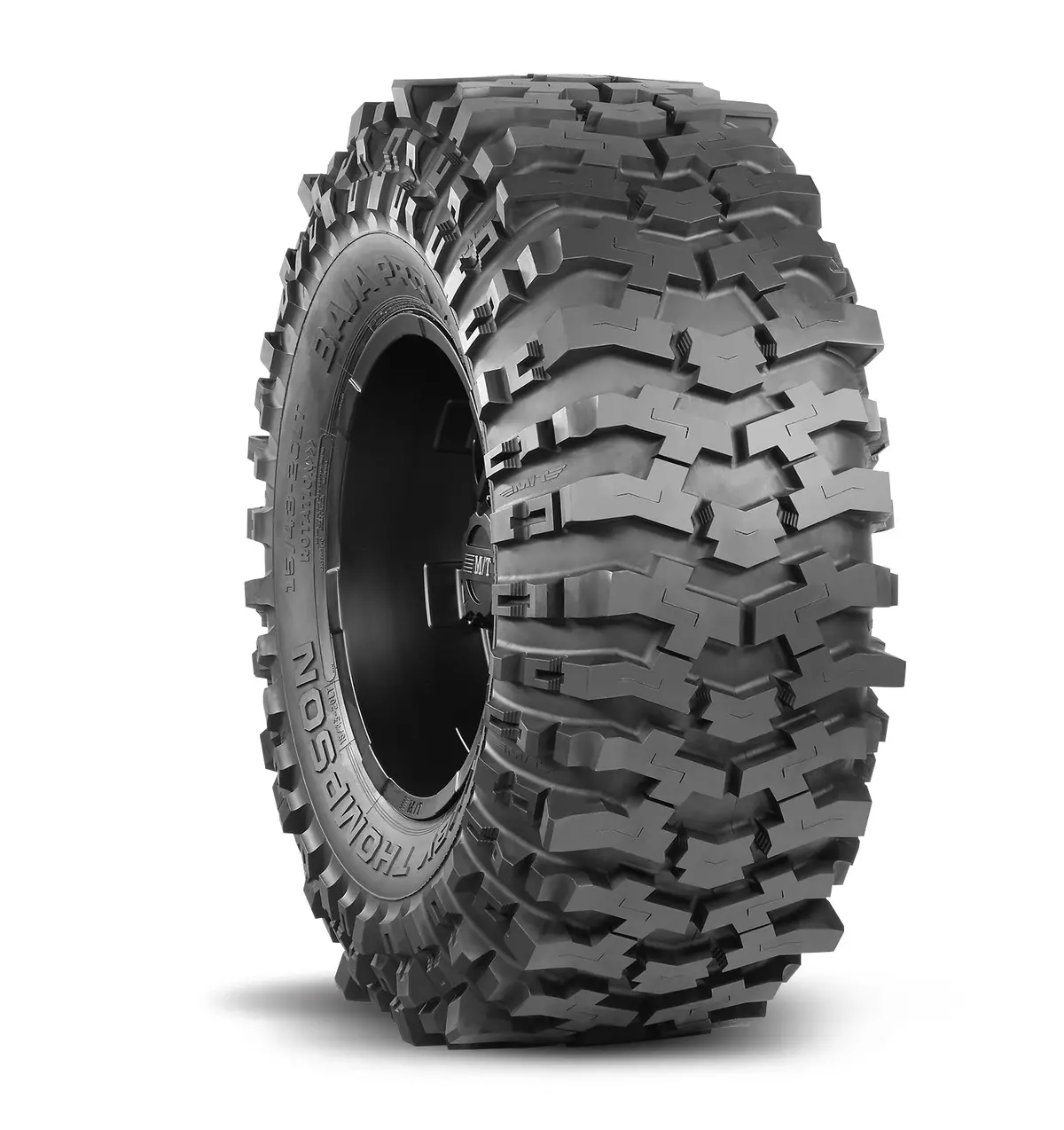 250100  -  Light Truck Bias Tire 1