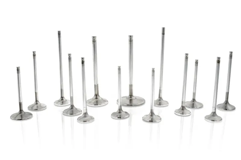 Ferrea Vw Bdf 32.00Mm 5.95Mm 102.40Mm 25 Deg Trpl Groove +1Mm Comp Plus Int Valve- Single (D/S Only) 1
